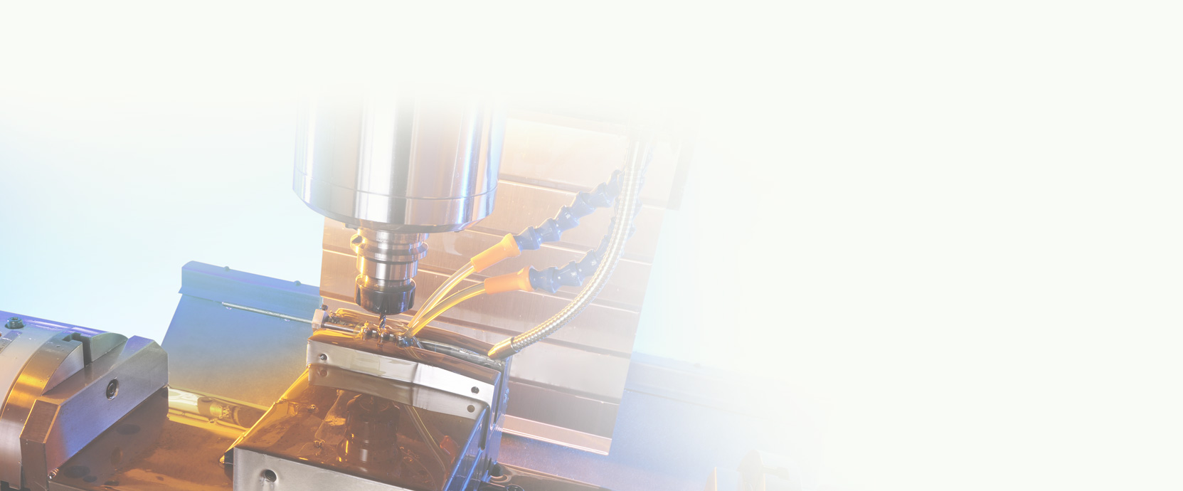 Capability & Services